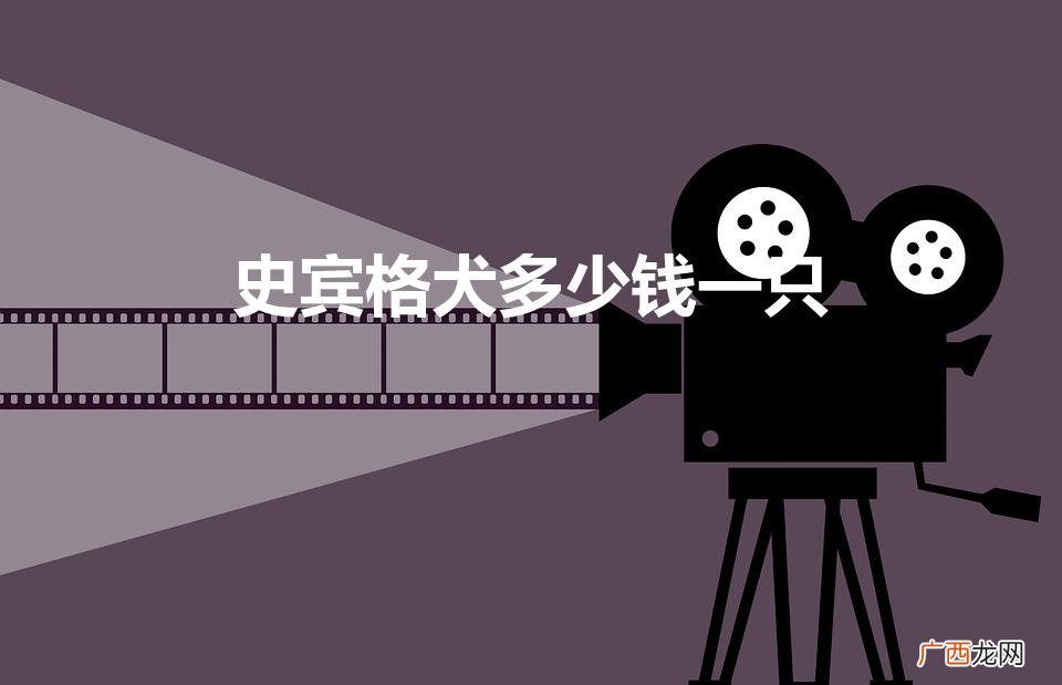 德牧和史宾格哪个贵 史宾格犬多少钱一只