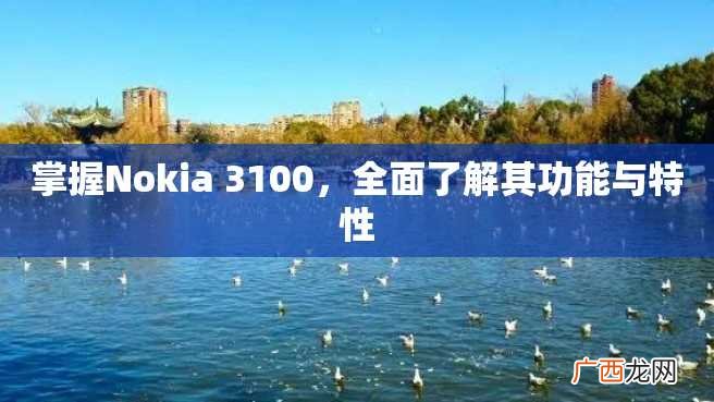 掌握Nokia 3100,全面了解其功能与特性