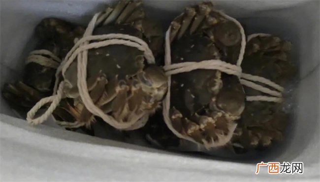 大闸蟹什么时候吃 大闸蟹最佳食用期