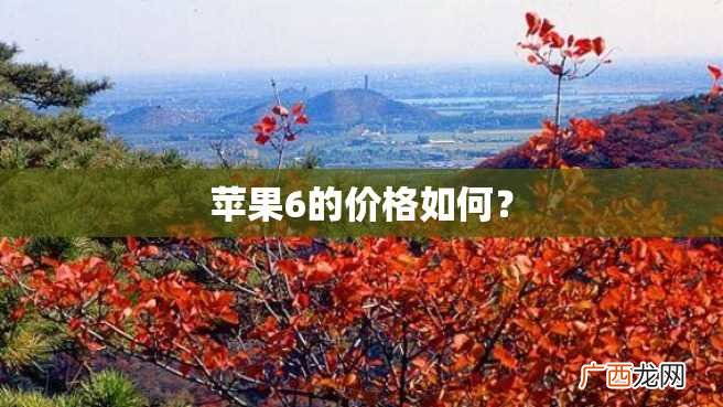 苹果6的价格如何？