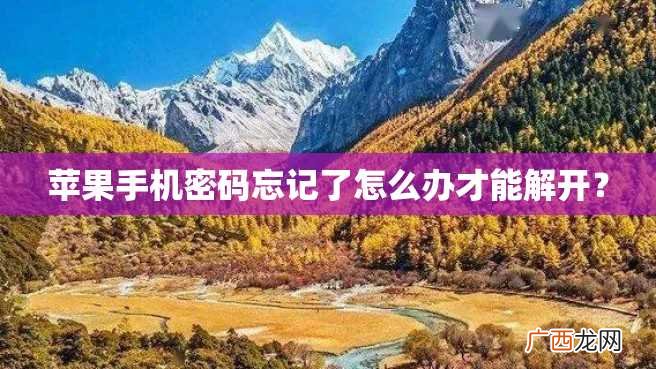 苹果手机密码忘记了怎么办才能解开？