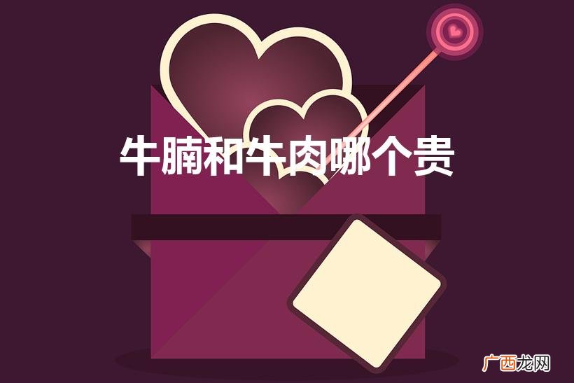 牛腩和牛肉的区别是什么 牛腩和牛肉哪个贵