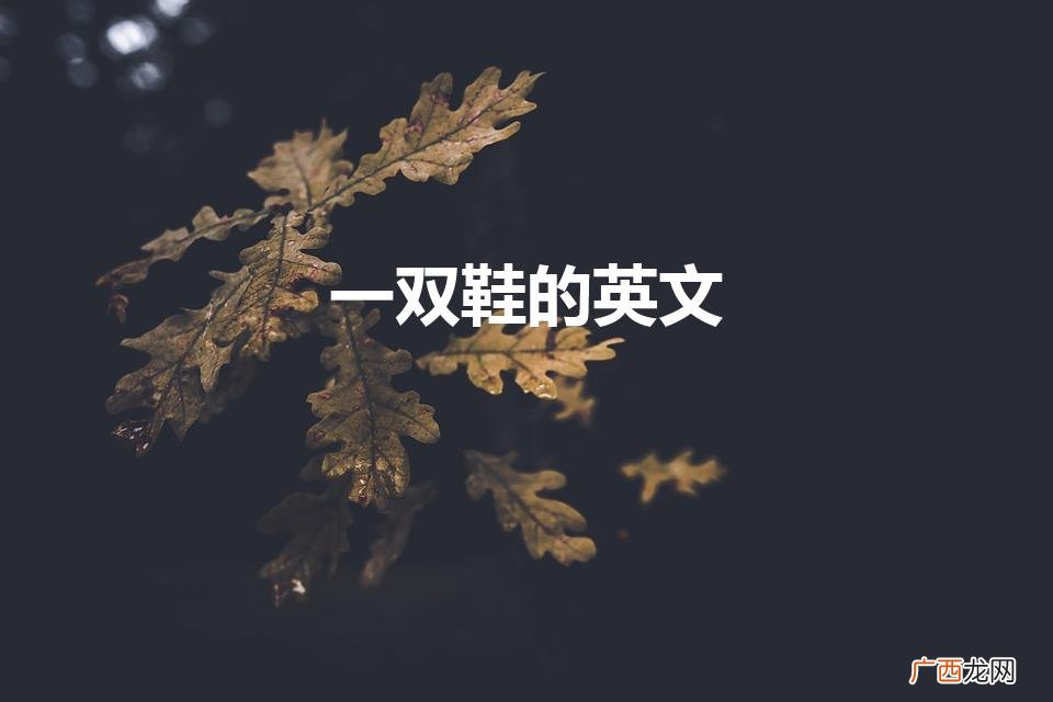 在英文中一双鞋是用is还是are 一双鞋的英文