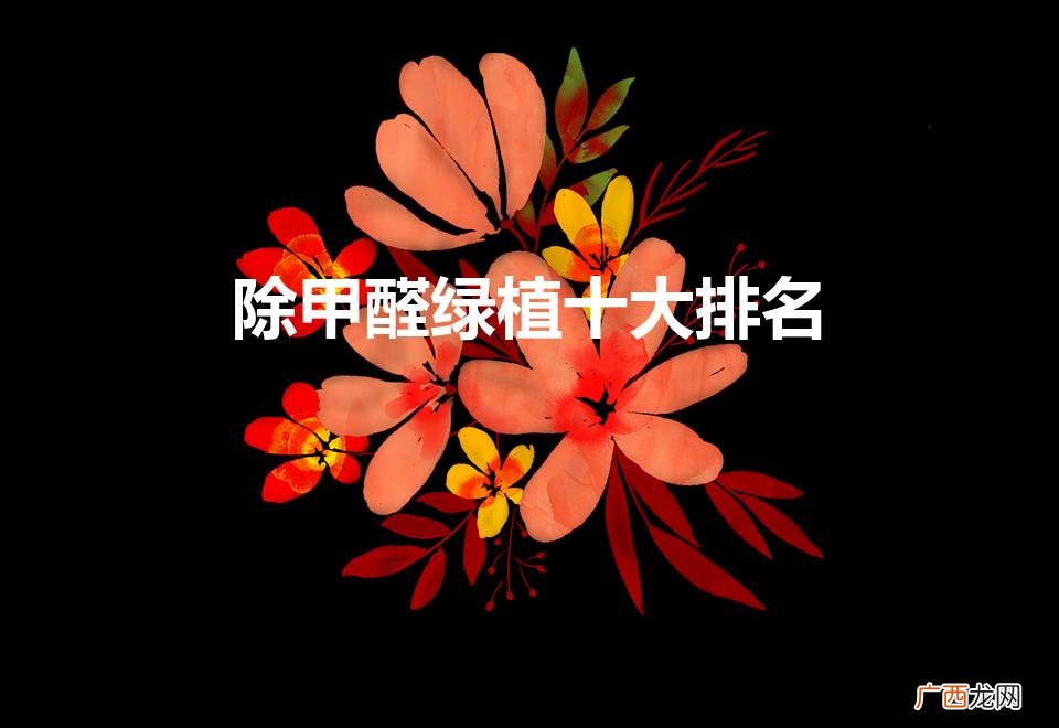 甲醛清除好帮手，绿植排行榜！ 除甲醛绿植十大排名
