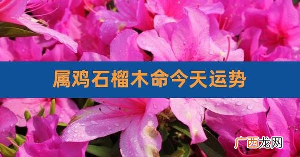 1981年属鸡石榴木命的人需要忌讳哪些事物 1981属鸡石榴木命最忌讳什么