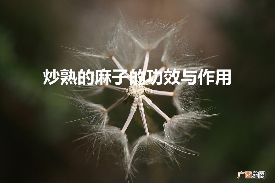麻子果有什么功能 炒熟的麻子的功效与作用