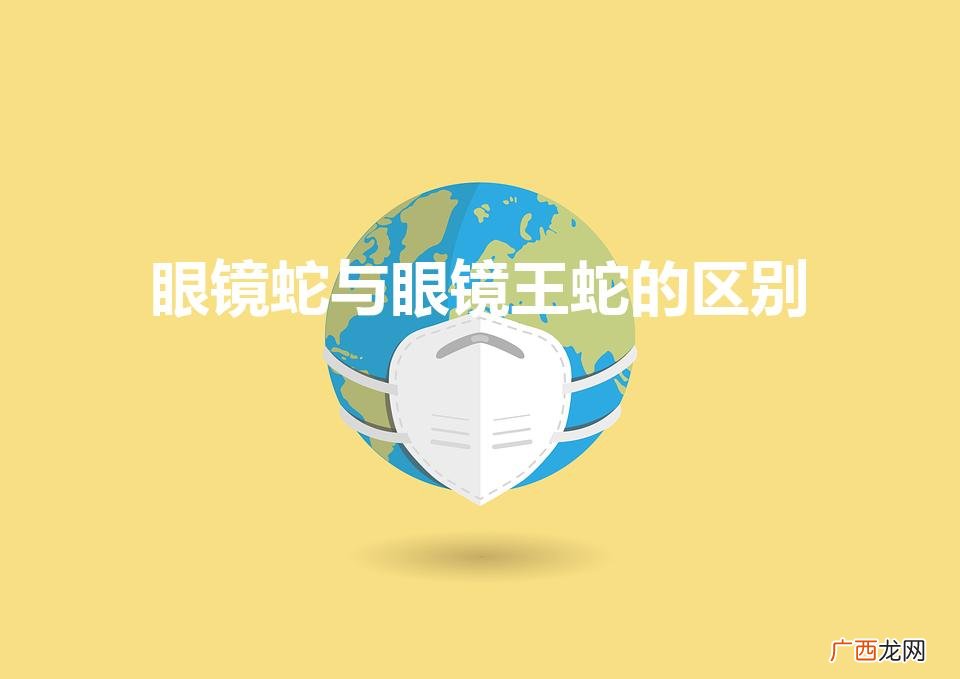 眼镜王蛇和眼镜蛇的区别是什么 眼镜蛇与眼镜王蛇的区别