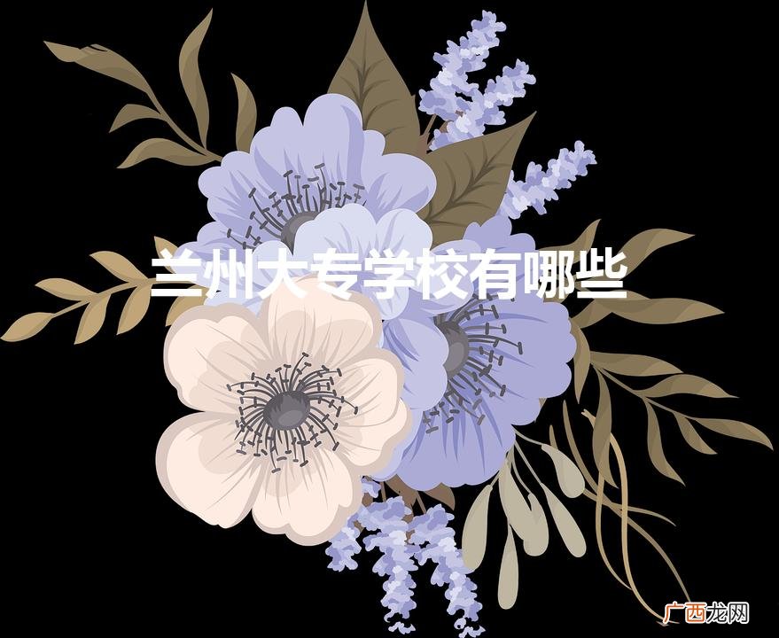 兰州大专有哪些 兰州大专学校有哪些