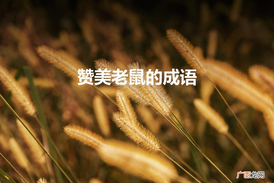 老鼠谋智，夸赞无限 赞美老鼠的成语
