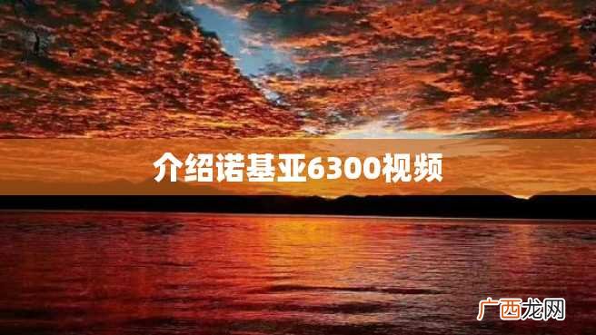 介绍诺基亚6300视频