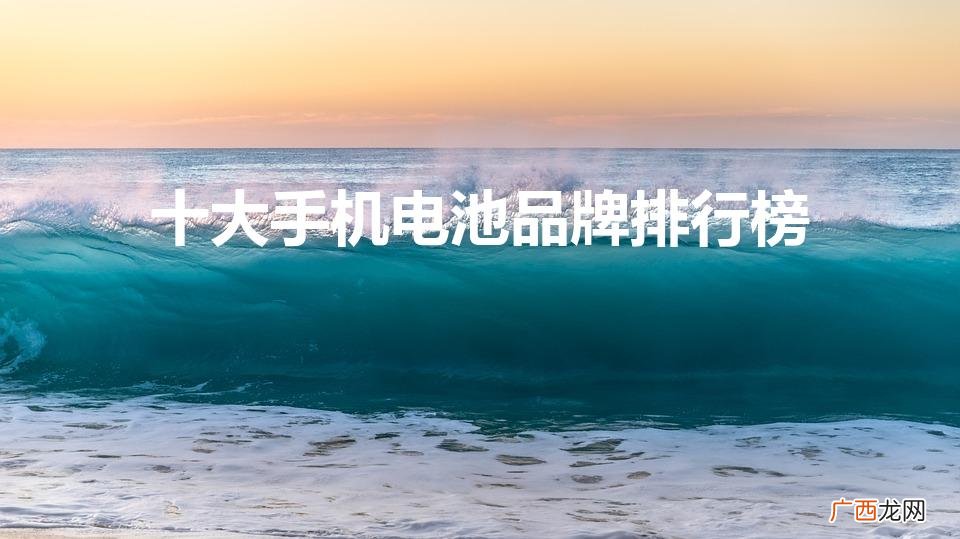 手机电池品牌排行榜前十名 十大手机电池品牌排行榜