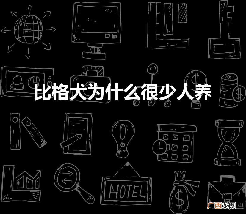 比格犬为什么很少人养(具体原因是这样)