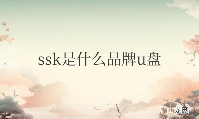 ssk是什么品牌u盘