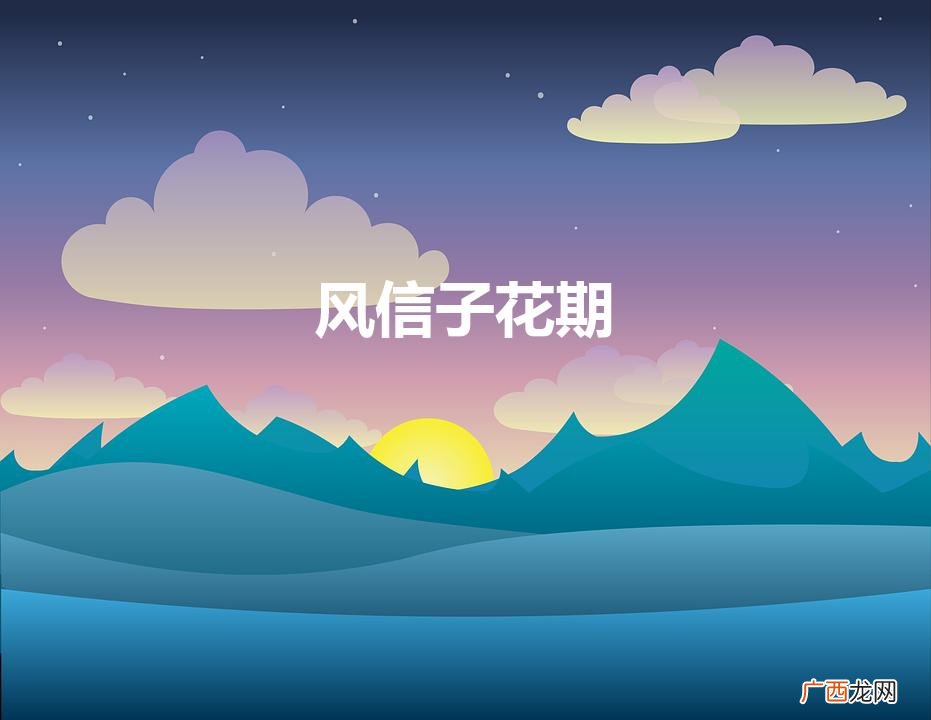 风信子盛放时 风信子花期