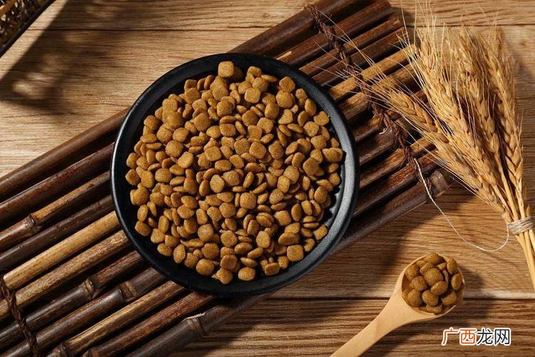 常见狗粮费用明细 哪几种狗粮牌子比较好