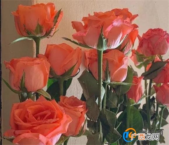 女人被婚外的爱情，撩动了心，她会变成这个样子