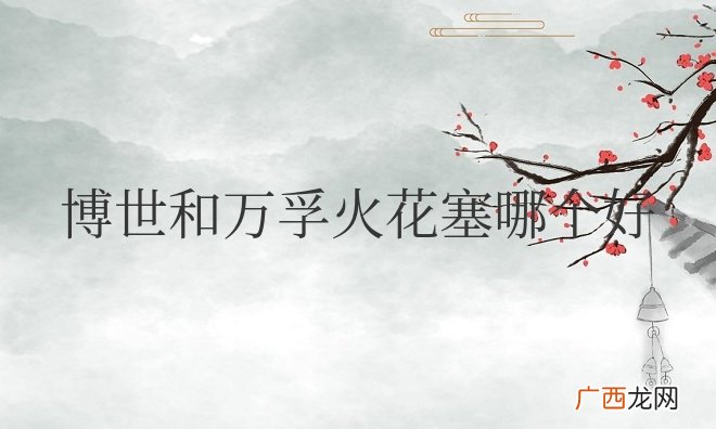 博世和万孚火花塞哪个好用一点