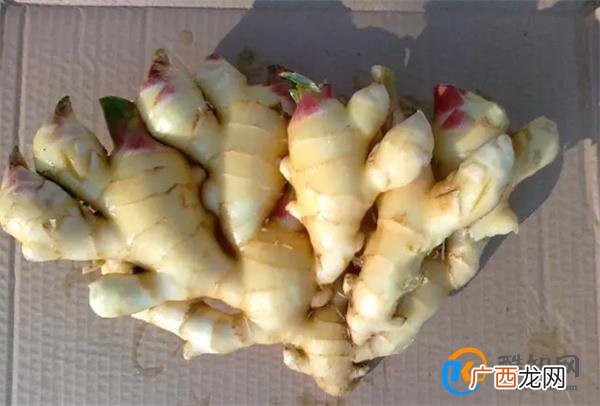 胃寒吃什么可以暖胃 胃寒吃哪些食物暖胃
