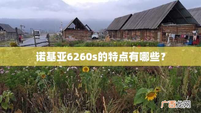 诺基亚6260s的特点有哪些?
