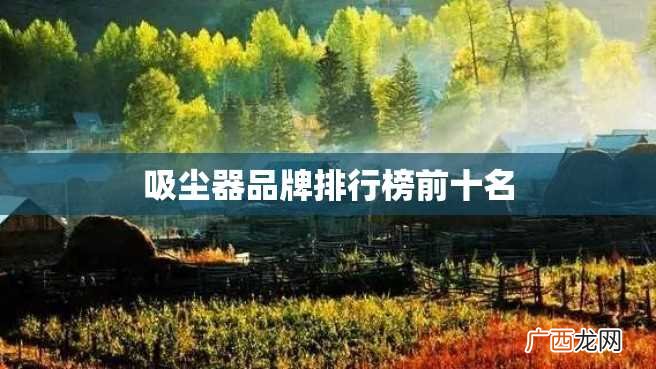 吸尘器品牌排行榜前十名
