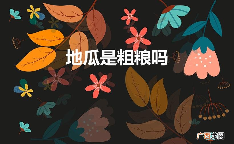 红薯算是粗粮吗 地瓜是粗粮吗