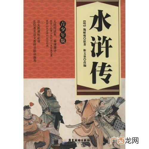 以农民起义为题材的长篇章回小说 水浒传是我国第一部什么小说