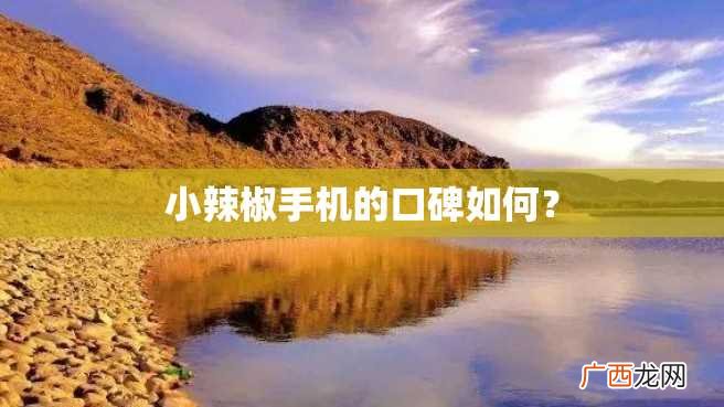 小辣椒手机的口碑如何？