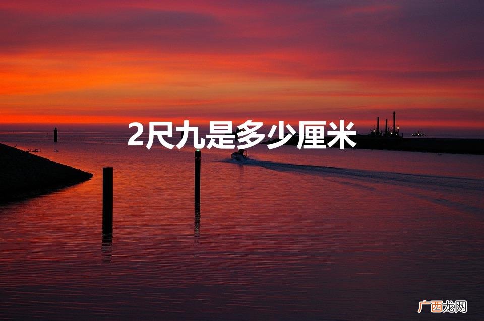 2尺9等于多少厘米 2尺九是多少厘米