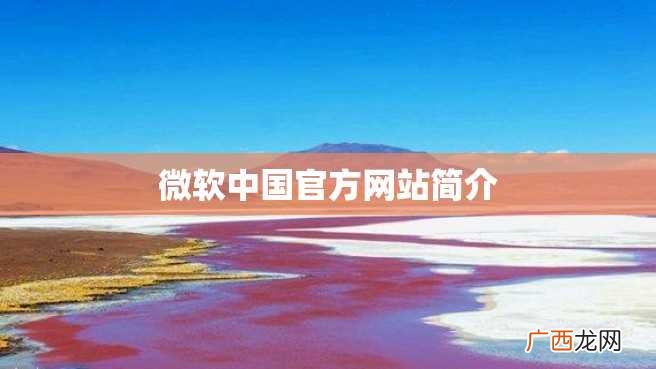 微软中国官方网站简介
