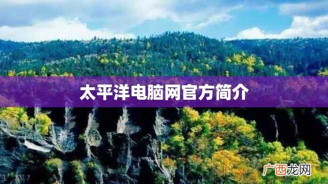 太平洋电脑网官方简介
