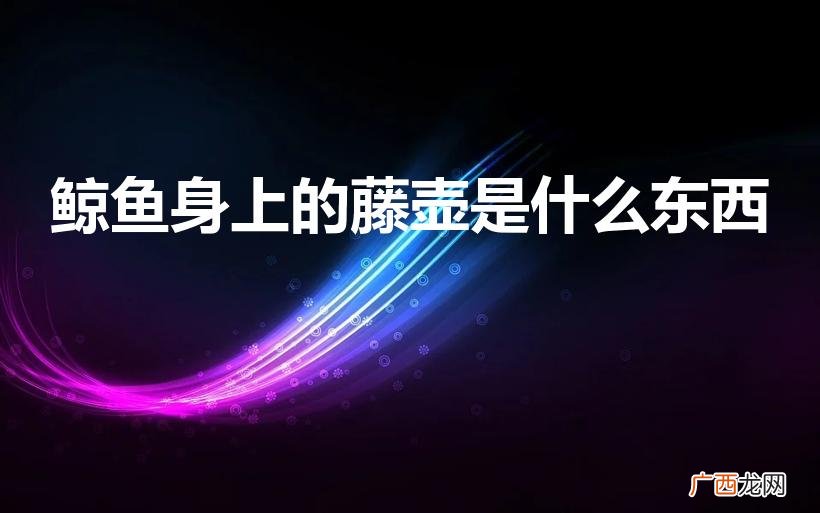 藤壶：鲸鱼的生命伙伴 鲸鱼身上的藤壶是什么东西