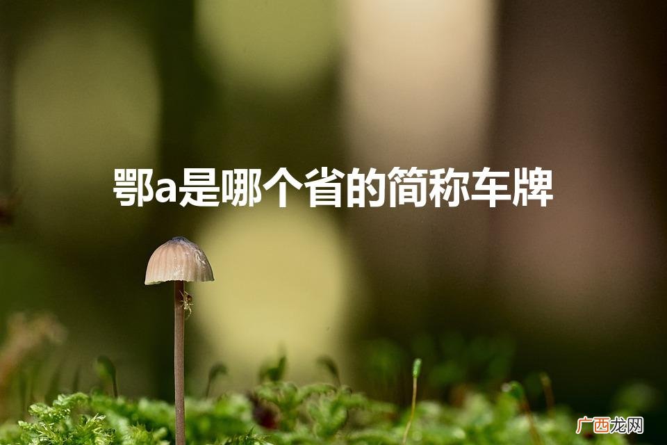 鄂A车牌来自何省？ 鄂a是哪个省的简称车牌