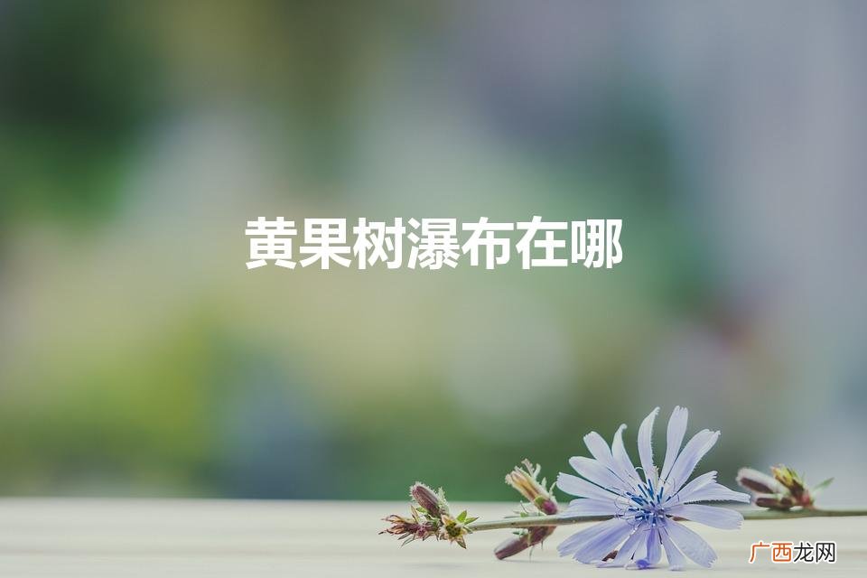 黄果树瀑布在哪里 黄果树瀑布在哪