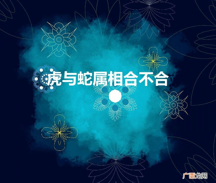 虎与蛇属相合不合财 虎与蛇属相合不合
