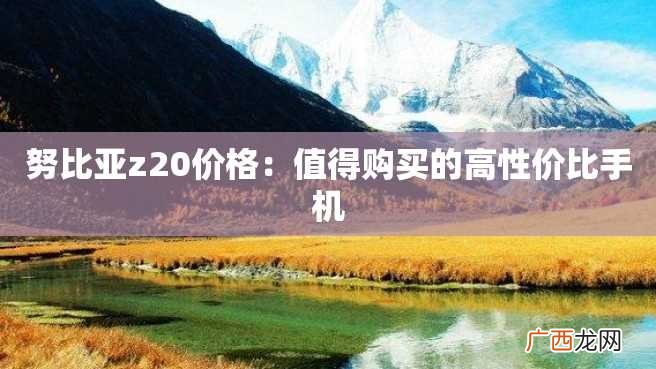 努比亚z20价格：值得购买的高性价比手机