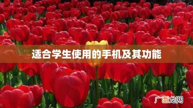适合学生使用的手机及其功能