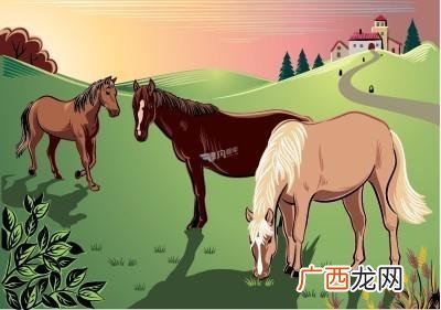 为什么好马不吃回头草