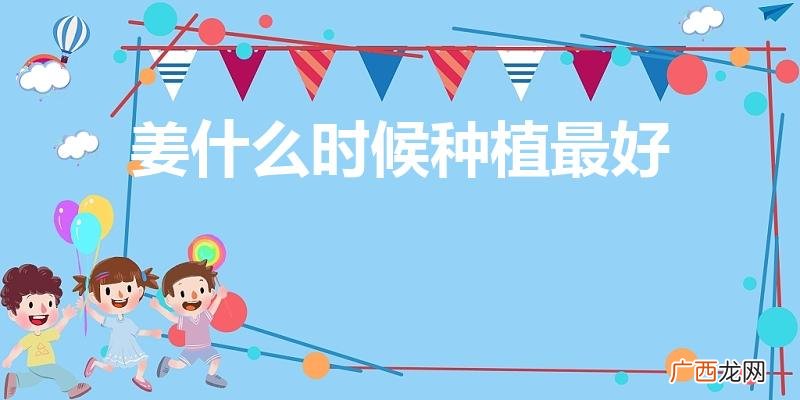 生姜什么时候种植最好 姜什么时候种植最好