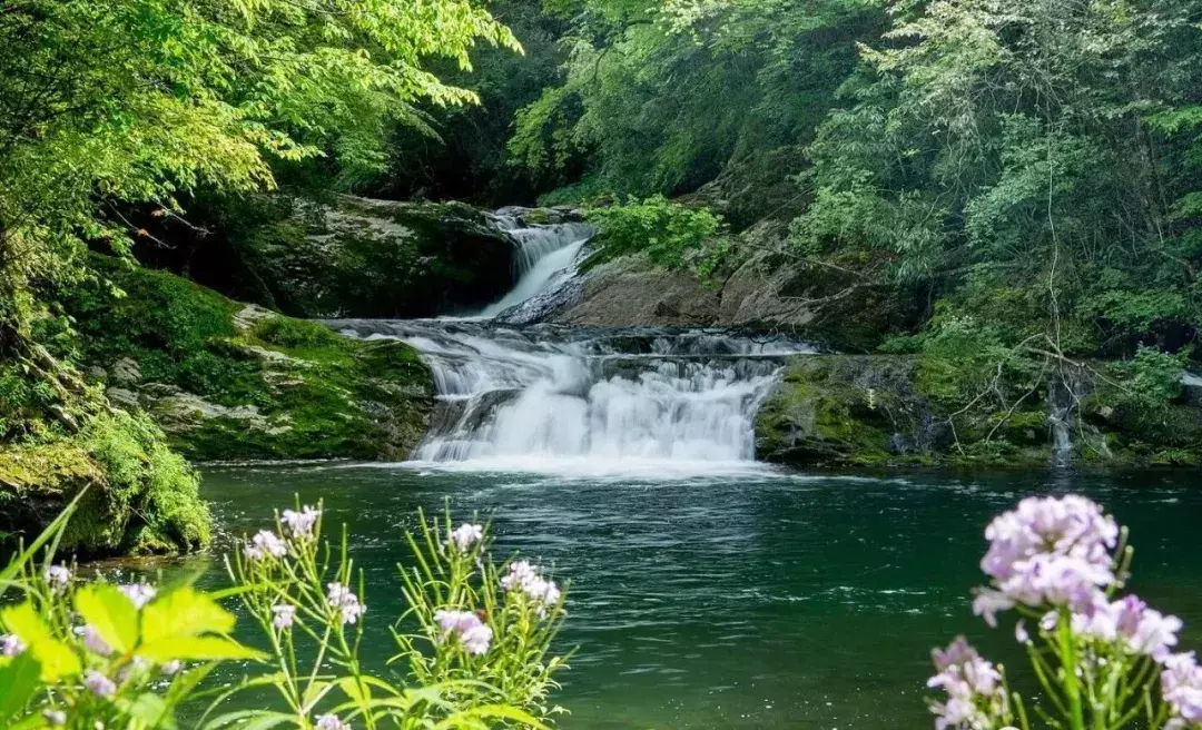 汉中旅游景点排名推荐龙头山 汉中旅游景点排名推荐