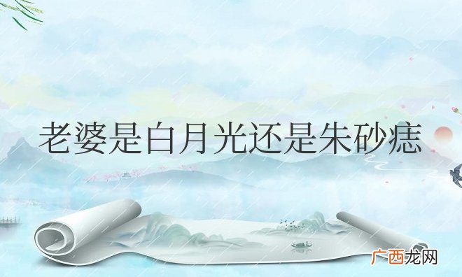 老婆是白月光还是朱砂痣