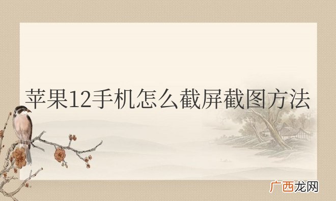 苹果手机12怎么截屏截图方法