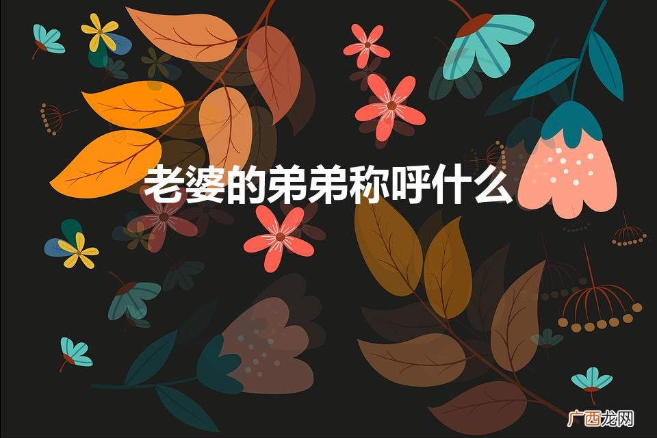 妻子的弟弟正式称谓是什么 老婆的弟弟称呼什么