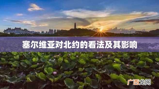 塞尔维亚对北约的看法及其影响