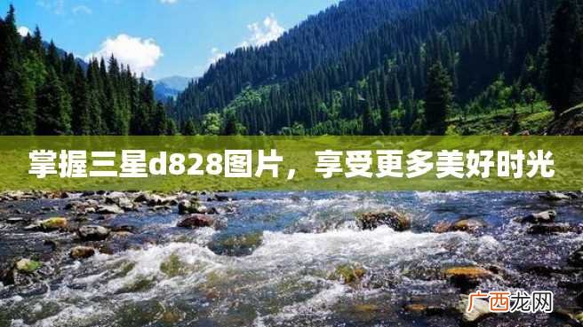 掌握三星d828图片，享受更多美好时光