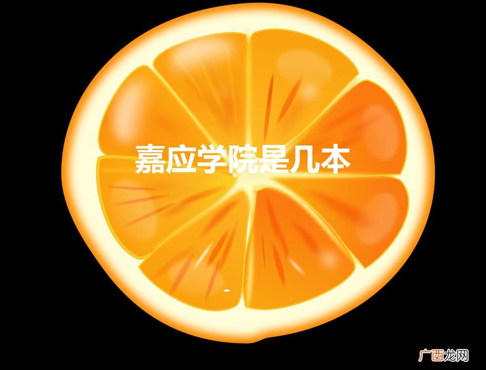 广东嘉应学院是几本 嘉应学院是几本