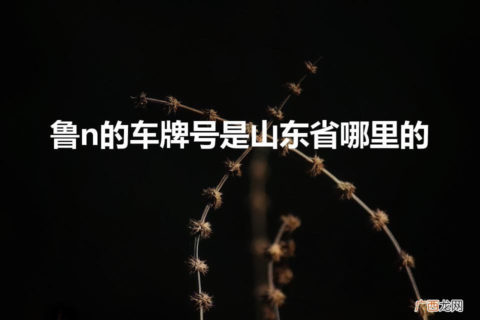 鲁N车牌：山东省何处的？ 鲁n的车牌号是山东省哪里的