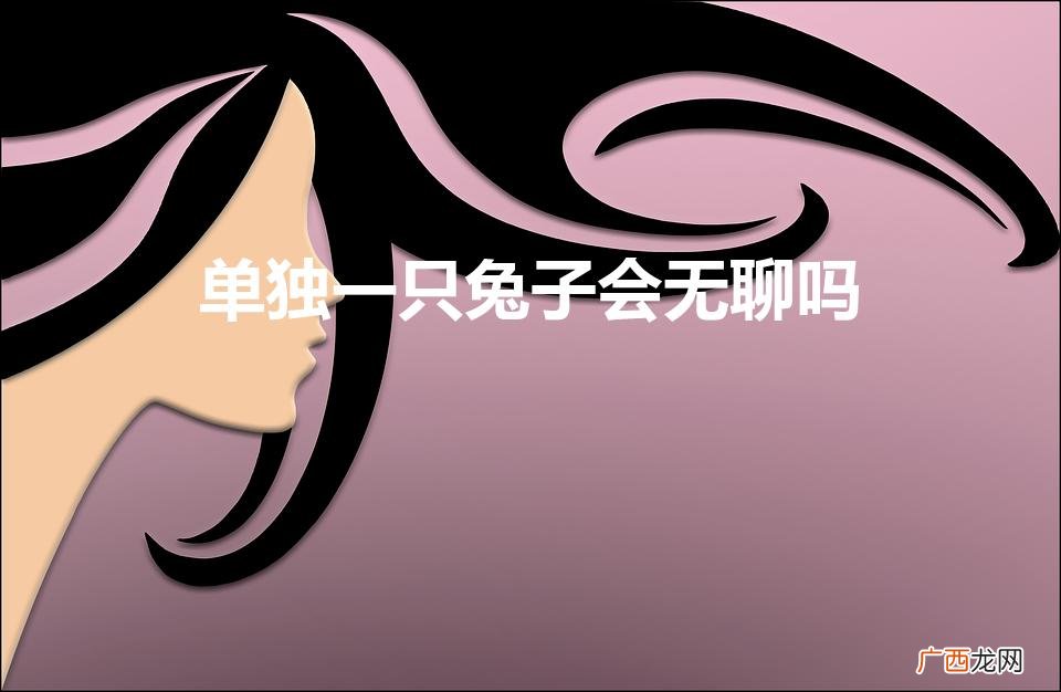 我只养一只兔兔,它会孤单吗 单独一只兔子会无聊吗