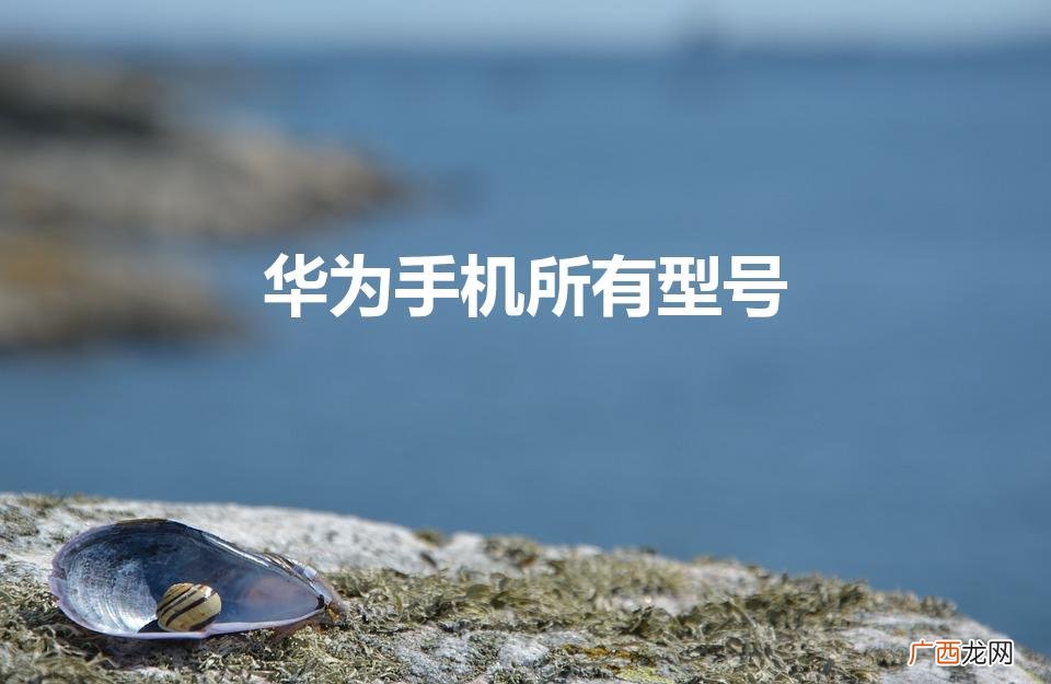 华为手机型号大全有哪些 华为手机所有型号