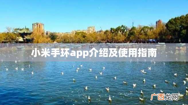 小米手环app介绍及使用指南