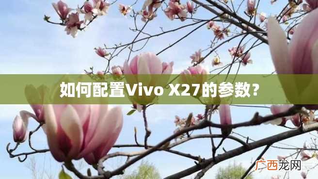 如何配置Vivo X27的参数？